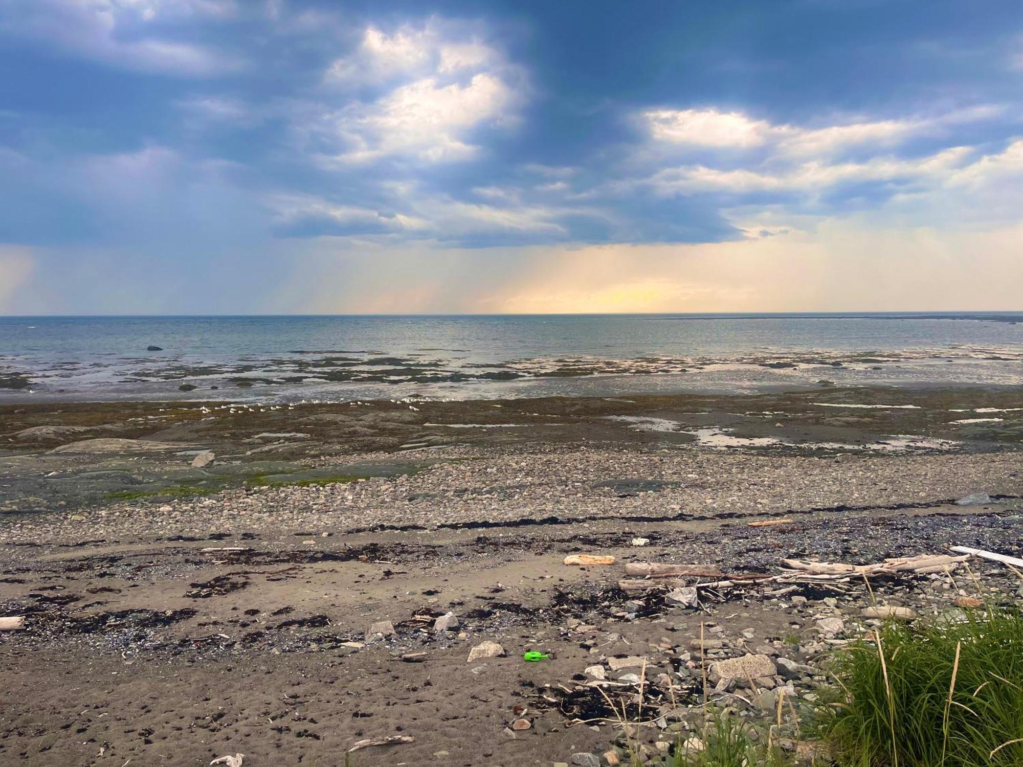 Gite de la Baie Hatée Le Le Bic Extérieur photo